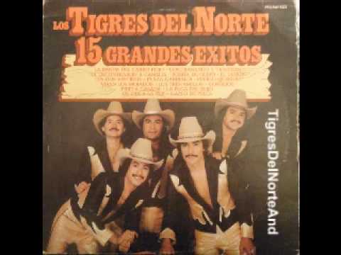 Los Tigres del Norte - Consejos