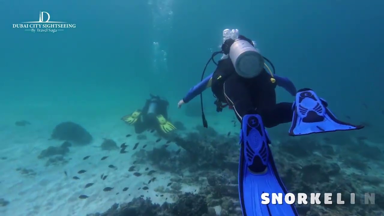 Musandam Oman Tour | Dhow Cruise, Speed Boat & Snorkeling | Dubai City Sightseeing