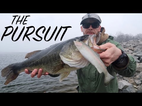 Pursue & Endure. 8" of 'Real Prey' trout for that one right bite.