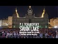 Capture de la vidéo Tchaikovsky: El Lago De Los Cisnes - Swan Lake - Rizzo - Orquesta Joven De La Osg En María Pita