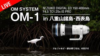 OM-1 in八重山諸島・西表島 M.ZUIKO DIGITAL ED 150-400mm 他 0074