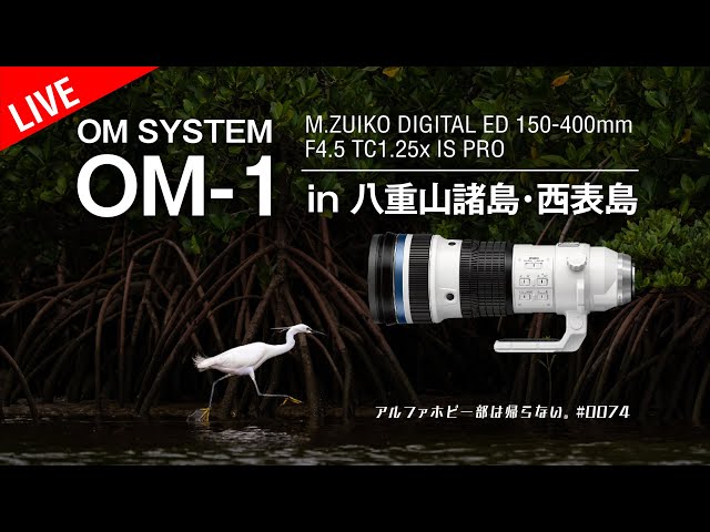 OM-1 in八重山諸島・西表島 M.ZUIKO DIGITAL ED 150-400mm 他 0074