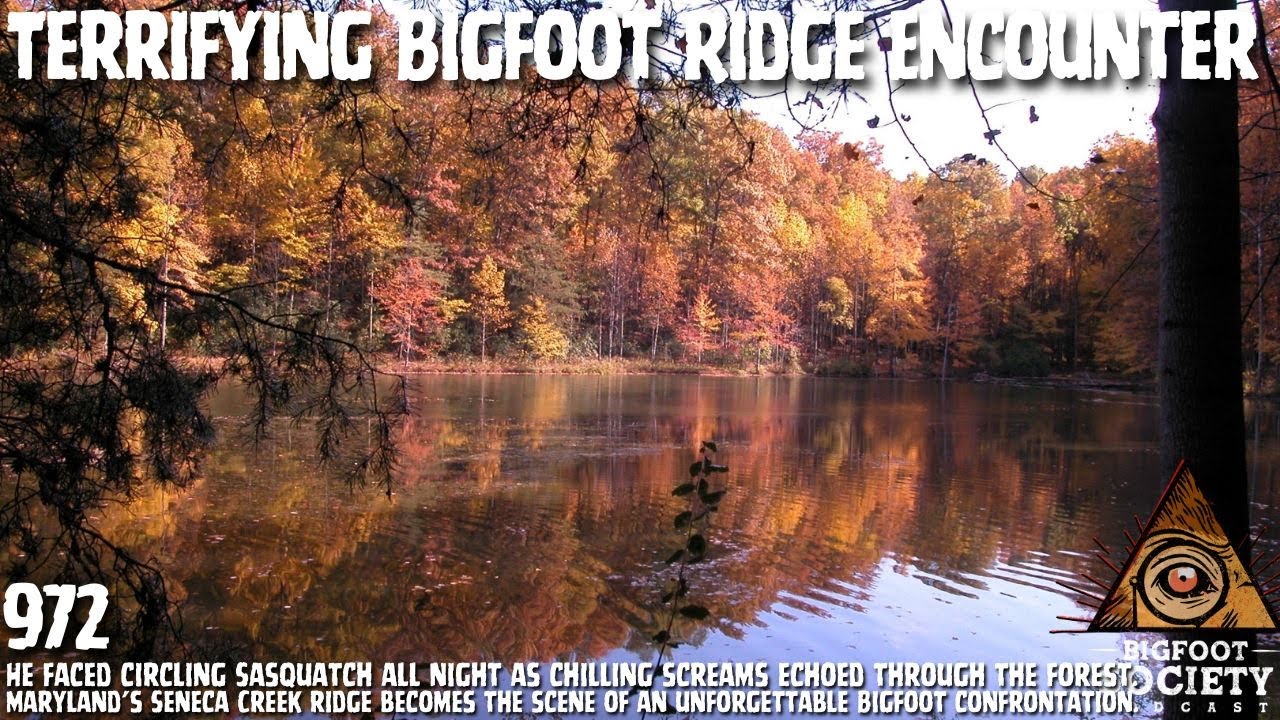 Anthropologist Encounters Bigfoot in Maryland and Faces Pure Terror | Bigfoot Society 972