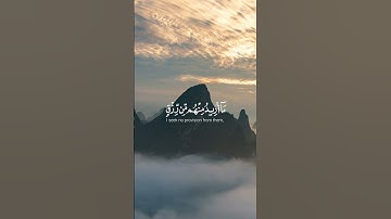 سورة الذاريات 55 ، 56 ، 57 ، 58