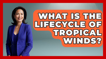 What Is The Lifecycle Of Tropical Winds? - Weather Watchdog