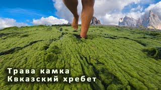 Начало Кавказских гор в Анапе. Трава Камка. Пляжи - песок и камни.