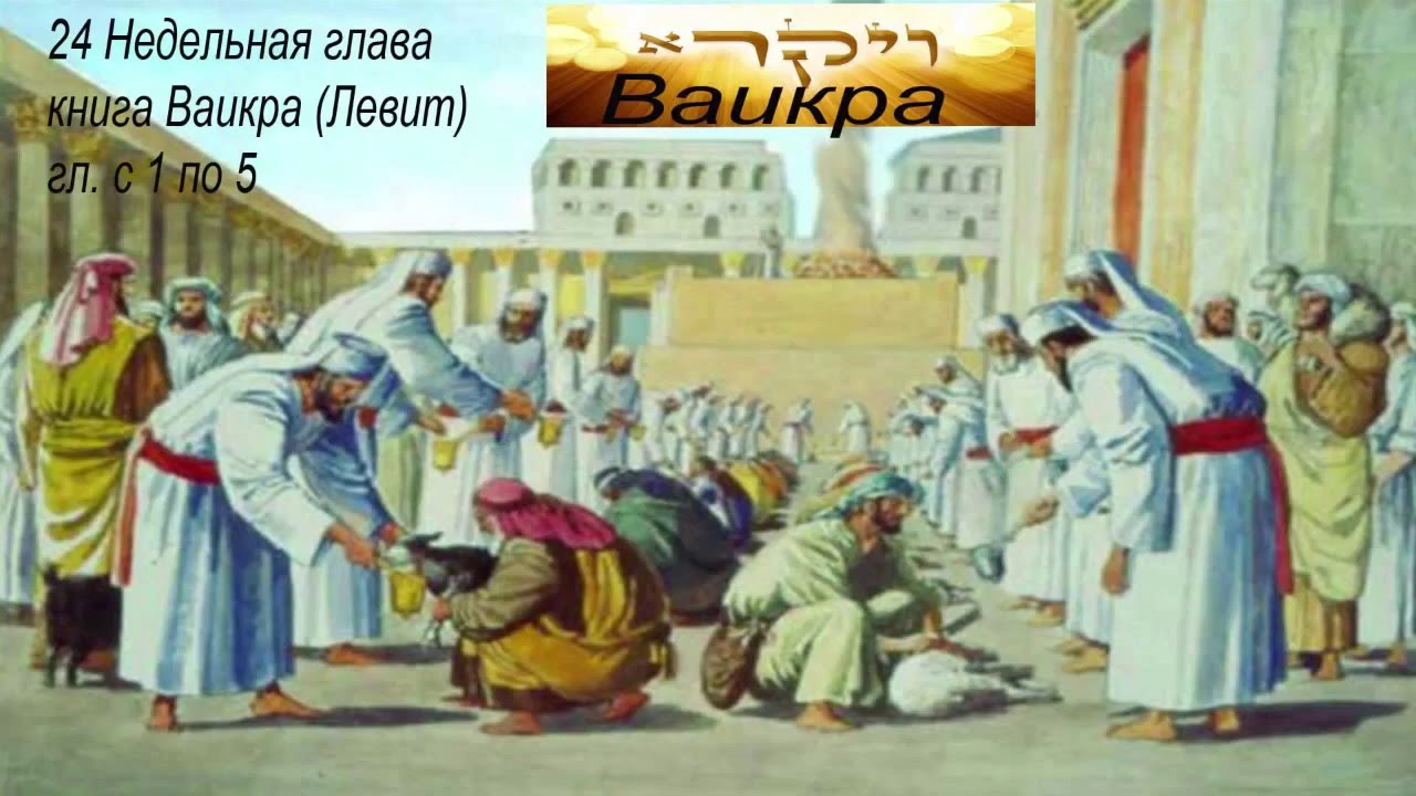 Крупным планом что такое левит трансы трахают