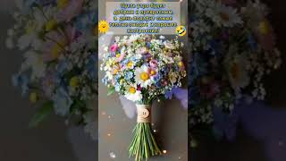Доброе утро,хорошего дня открытки на каждый день #открытка #доброеутро #видеооткрытка #доброеутречко