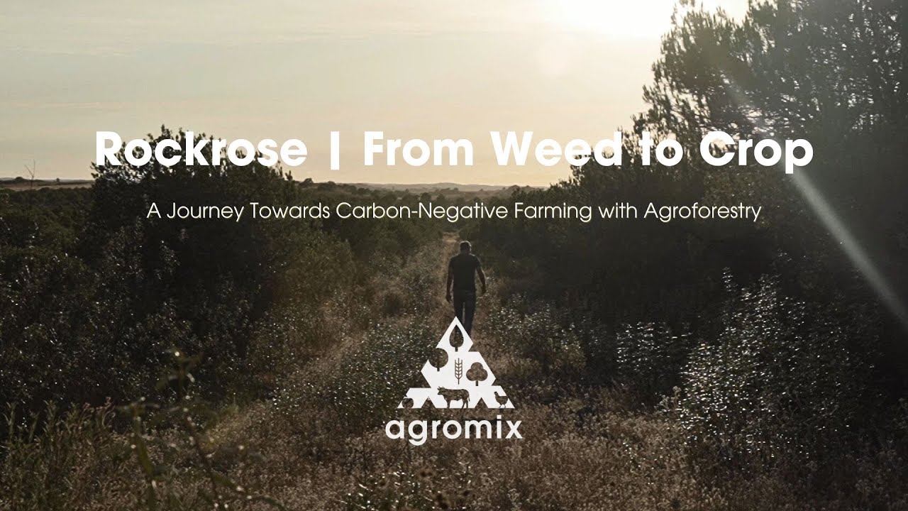 Rockrose | From Weed to Crop