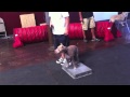 Dog Training - Learning placeboards for better self control Dog Training - Learning placeboards for better self control