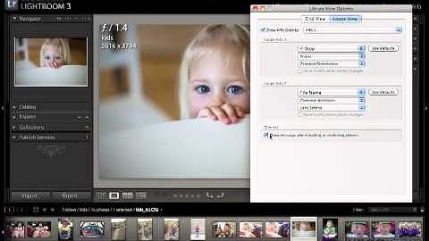 Tutorial 23 - Customizing Loupe View and Grid View