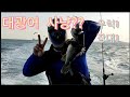 [DeTour Episode4]인천 선상낚시 우럭 장대 대광어 사냥 (Incheon coast Rock fish, Halibut Fishing)