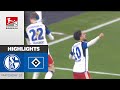 HSV With A Top Start | FC Schalke 04 - Hamburger SV 0-2 | Highlights | MD 18 - Bundesliga 2 2023/24