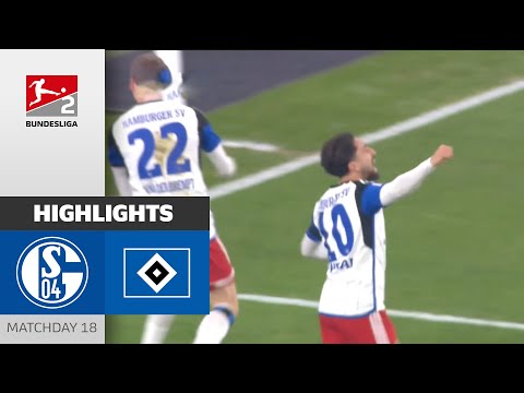 Schalke Hamburger Goals And Highlights