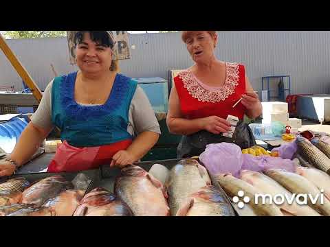 Видео: Мерилин Одесса отдыхает и приглашает своих хулителей встретиться с ней