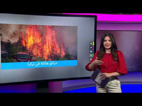 حرائق غابات تركيا: جهود السلطات لاحتواء الأزمة