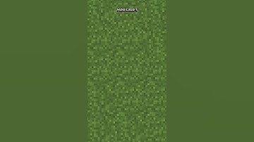 Minecraft, But I Can