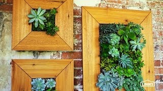A mix between container gardening and vertical gardening, this creative way to plant a succulent garden is a fun DIY project. You 