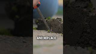 Can you Replace Just a Single Paver in your Project?