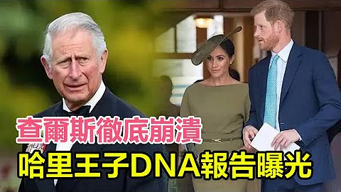 轰动英伦，查尔斯彻底崩溃！哈里王子DNA报告曝光，哈里梅根连夜逃亡美国真正原因，哈利王子真实面目彻底瞒不住，亲子鉴定结果令人哑舌！#查尔斯 #卡米拉 #英国女王 #伊莉莎白二世#ElizabethII - 天天要闻