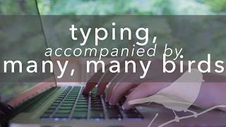 ASMR - typing + outdoor sounds *no talking* screenshot 3