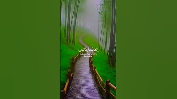 قرآن كريم #ياسر_الدوسري #منشاري_راشدالعسفاني #سعود_شريم #سعود_ش #المصحف #egyptianactor