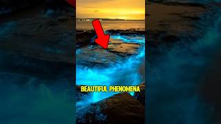 3 MOST Beautiful Phenomena On Earth