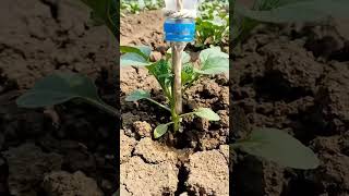 dimag lagao pani bachao,❤️❤️#shorts#trending#viral#botle#water