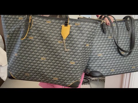 Goyard St. Louis vs. Daily Battle 41