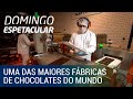 Domingo Espetacular entra numa das maiores fábricas de chocolates finos do mundo