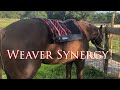 Weaver Leather Synergy Saddle pad |Ride & Review!