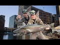 Trout catch and cook in downtown milwaukee