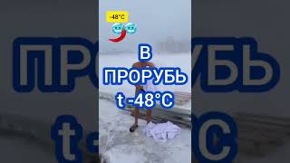 В Прорубь t -48°C Крещенские Морозы #shorts