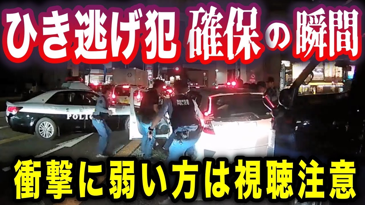 【ドラレコ】※目の前でひき逃げ犯が確保される瞬間／命をかけて赤信号無視を逆走で決める／バイクで逆煽り→潰されるのはお前だろ