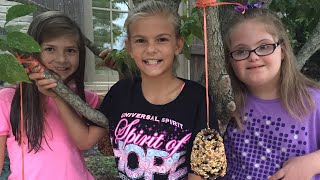 Pinecone Bird Feeder (Sarah & Friends)