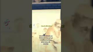 On Ma Dit Delocc T Complètement Matrixer