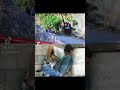 المجد للشهداء شيرين ابو عاقلة 
