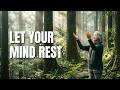 Shinrin-Yoku: The Cure for Emotional Exhaustion