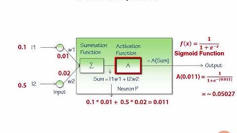 04 Neuron Computation
