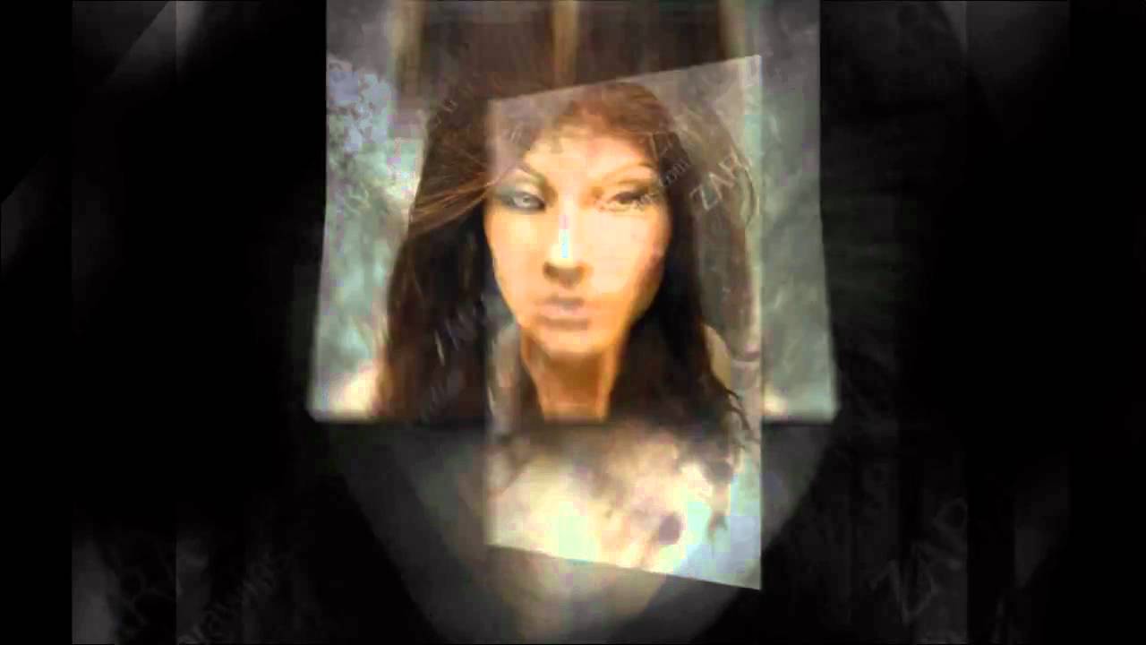 Zara Wigs Full Lace Wig Showcase