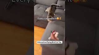 Cat Bird Toy - Link 🔗 in Bio