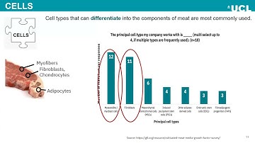 The Biggest Technical Challenges of Cultivated Meat- Dr. Petra Hanga