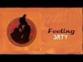 3rty Feeling Lyric Video mp3