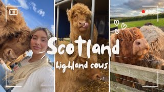 Scotland Vlog Pt.1 - Highland Cows