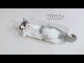 【さばちゃん30】さばちゃんが遊びすぎちゃうと、いつも心配です