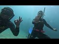Freediving in between the kelp with adrian  joann