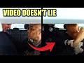 Officer PANICS After Driver Captures Everything On Camera
