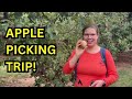 A great day in the apple orchard!