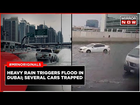 Dubai Flood News: UAE Witnesses Heavy Rain, Severe Weather; Streets Of Dubai Flooded | English News