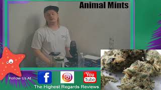 Live Strain Review Animal Mints